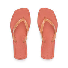 Solaye